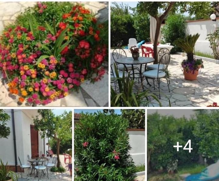 Villa Dafne Mare Fondi Sperlonga Buitenkant foto
